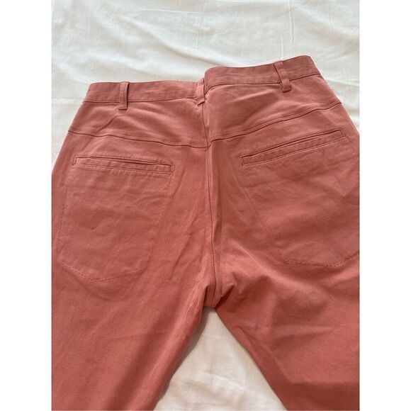 NWT Flannel Chino Pink Pants Size 3 ( or L) - Picture 12 of 12